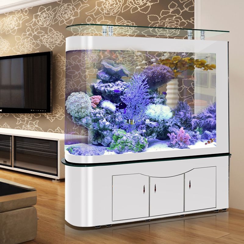 2020年十大魚缸品牌