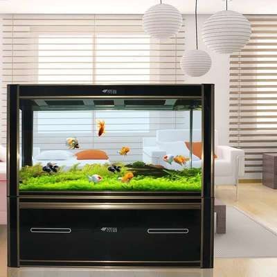 2020年十大魚缸品牌