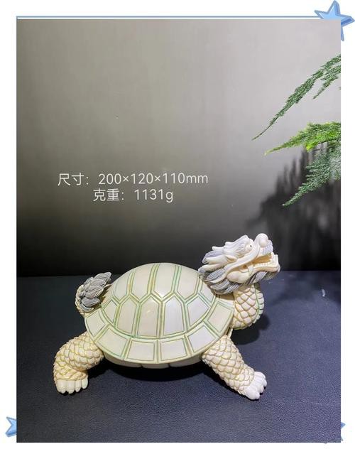 龍龜的擺放示意圖