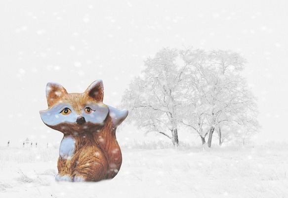 雪龍魚日常健康管理：如何保持水族箱水質清潔，雪龍魚日常光照管理技巧