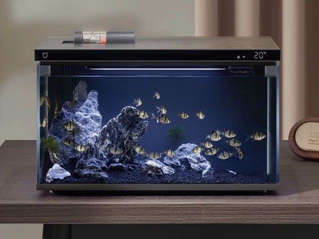 小米魚(yú)缸拆解：小米魚(yú)缸拆解分析 小米魚(yú)缸拆解：小米魚(yú)缸拆解分析 魚(yú)缸百科 第5張