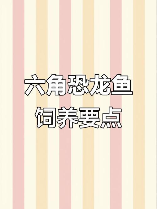 六角恐龍魚怎么養及喂養技巧圖片欣賞大全