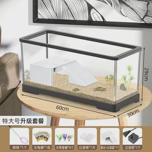 六角恐龍魚怎么養及喂養技巧圖片欣賞大全