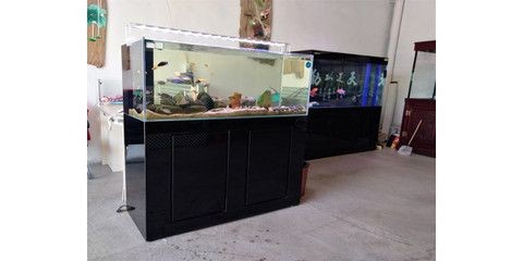 黑鉆魚(yú)缸養(yǎng)殖方法黑鉆魚(yú)缸美觀(guān)養(yǎng)殖方法黑鉆魚(yú)缸養(yǎng)殖方法：如何在黑鉆魚(yú)缸中養(yǎng)出既健康又美觀(guān)的魚(yú)
