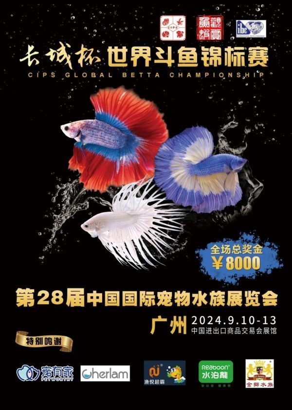 龍魚長城杯2024年有哪些裁判？