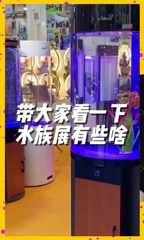 展會(huì)有哪些水族寵物品種？