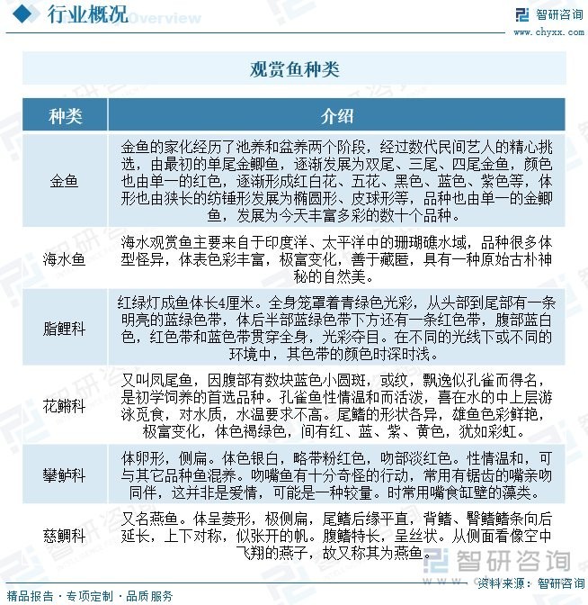 中國龍魚市場的發展趨勢如何？