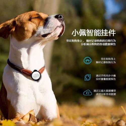 2025年有哪些寵物水族新品發布？