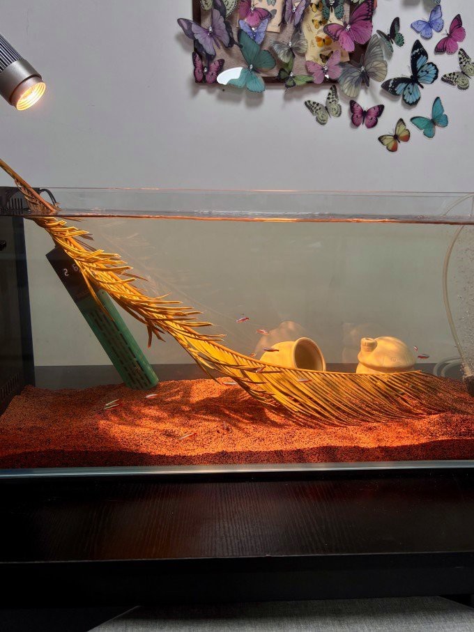 森森魚缸使用方法視頻