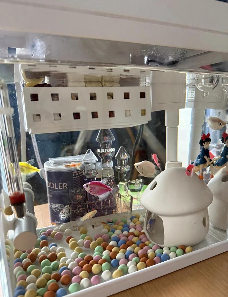 森森魚缸使用方法視頻