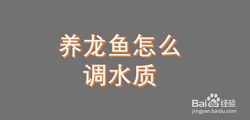 龍魚水質(zhì)檢測哪些不合格的