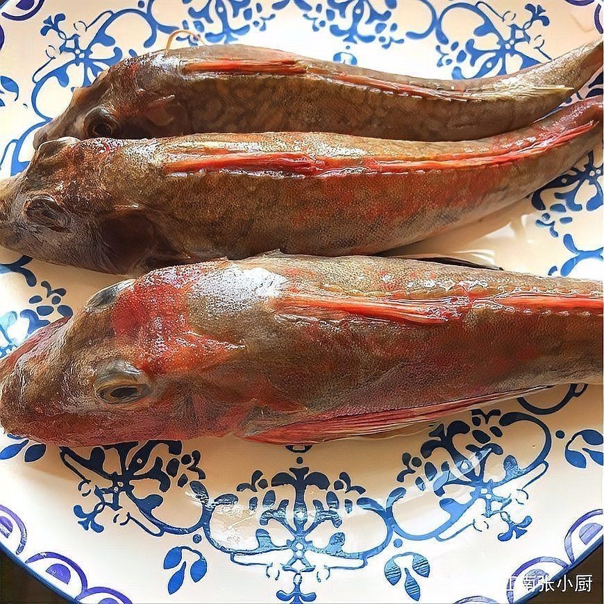紅頭的魚是什么魚