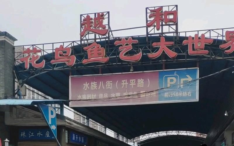 廣州觀賞魚批發市場