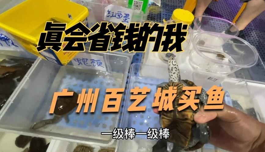 廣州觀賞魚批發市場