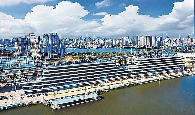 廣州觀賞魚批發市場