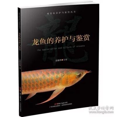 龍魚的養殖技術與管理方法有哪些：龍魚的養殖技術與管理方法