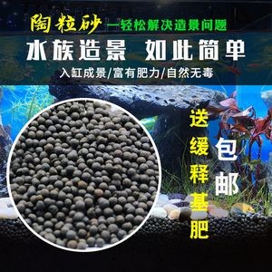 黑色背景的魚缸適合養多種魚類，黑魚混養指南黑魚混養指南：黑色背景的魚缸適合養多種魚類