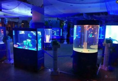 海洋魚缸展出租服務公司提供海洋生物魚缸展出租服務：提供海洋魚缸展出租服務的公司