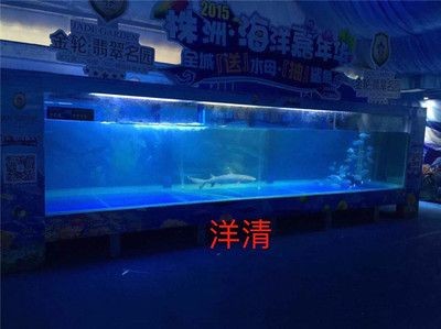 海洋魚缸展出租服務公司提供海洋生物魚缸展出租服務：提供海洋魚缸展出租服務的公司