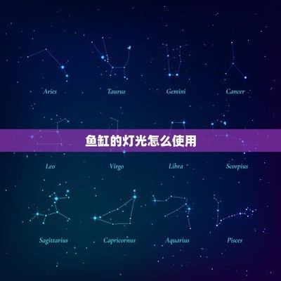 如何調節魚缸內的光照強度：調整魚缸內的光照強度對于維持魚類的健康生長至關重要