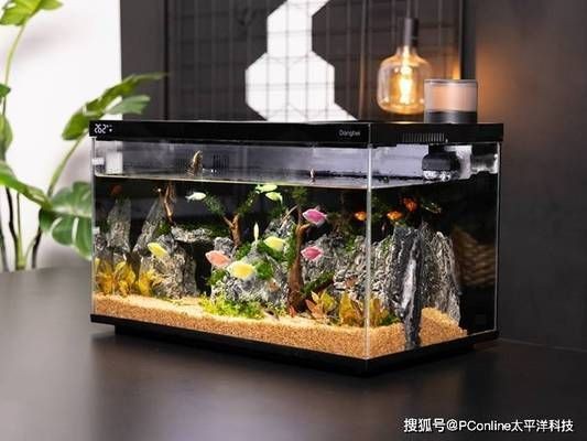 當貝智能魚缸1ultra:當貝智能魚缸1ultra燈光模式對比,智能魚缸1ultra用戶評價匯總 魚缸百科 第3張 當貝智能魚缸1ultra:當貝智能魚缸1ultra燈光模式對比,智能魚缸1ultra用戶評價匯總 當貝智能魚缸1ultra:當貝智能魚缸1ultra燈光模式對比,智能魚缸1ultra用戶評價匯總 魚缸百科 第3張