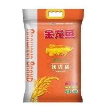銀龍魚和白金龍魚的區(qū)別是什么（銀龍魚和白金龍魚的區(qū)別是什么呢） 銀龍魚和白金龍魚的區(qū)別是什么（銀龍魚和白金龍魚的區(qū)別是什么呢） 銀龍魚百科