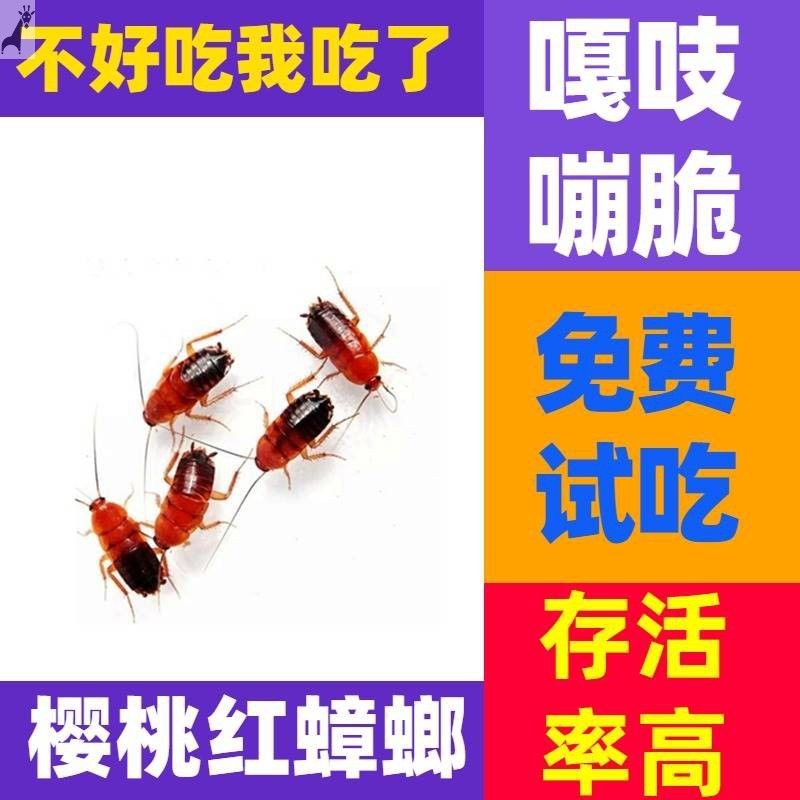 上海市崇明縣情波水族設計室