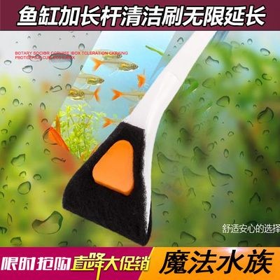 魚缸清潔工具的選擇與使用：魚缸清潔工具的選購與使用技巧