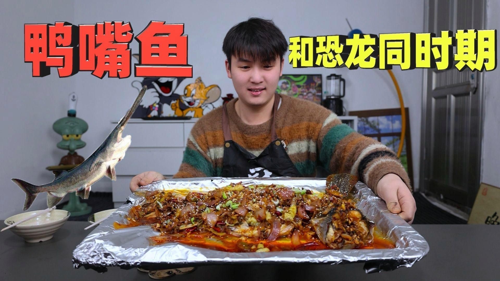 鄭州有哪些花卉市場？：鄭州哪里可以買魚缸？