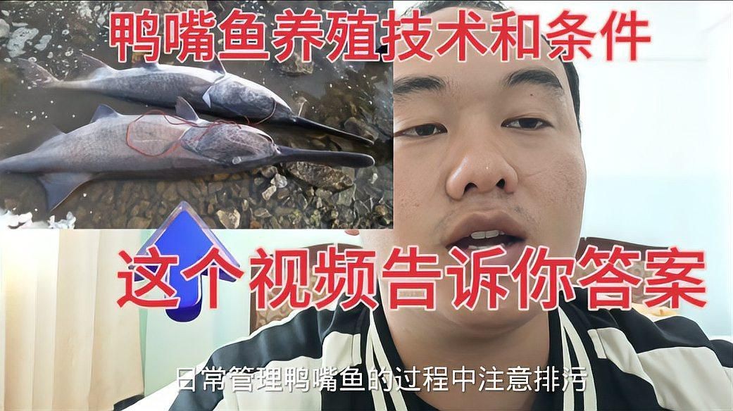 鄭州有哪些花卉市場？：鄭州哪里可以買魚缸？