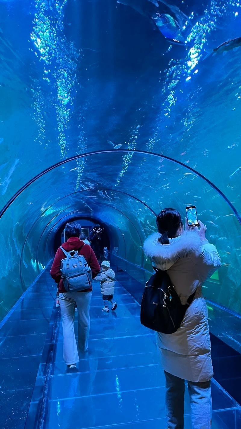 西安水族展覽有哪些特色？