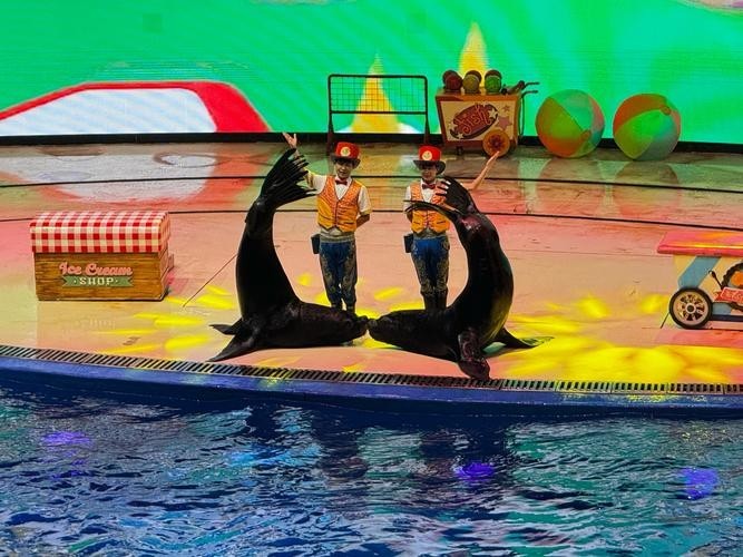 西安水族展覽有哪些特色？