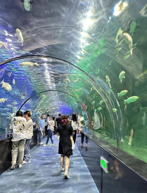 西安水族展覽有哪些特色？