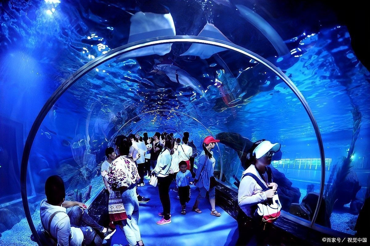 西安水族展覽有哪些特色？