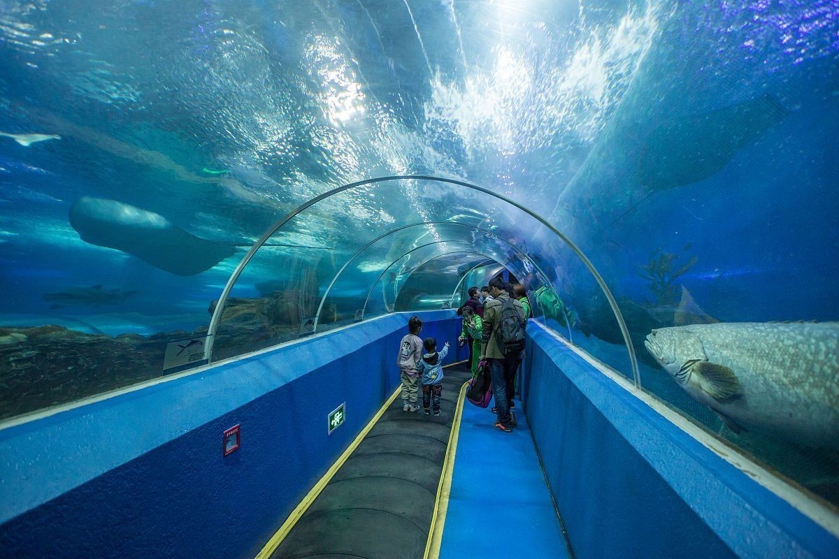 西安水族展覽有哪些特色？