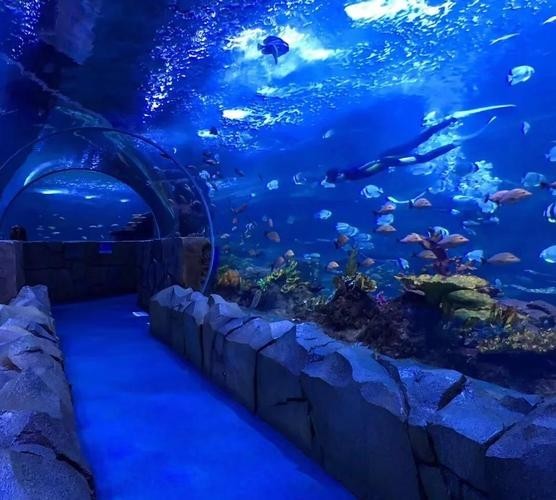 西安水族展覽有哪些特色？
