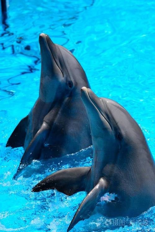 西安水族展覽有哪些特色？