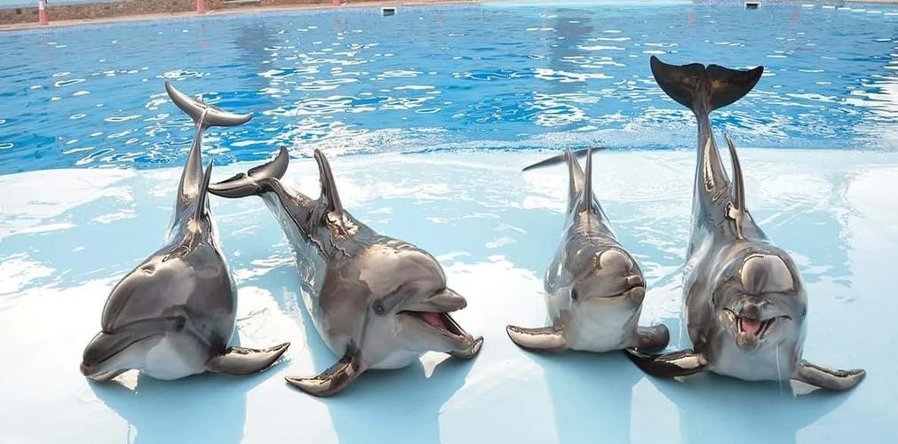 西安水族展覽有哪些特色？