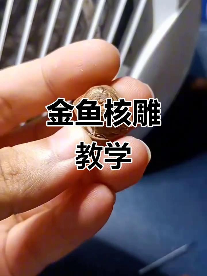 金魚雕刻視頻教程 金魚雕刻視頻教程 龍魚論壇 第2張