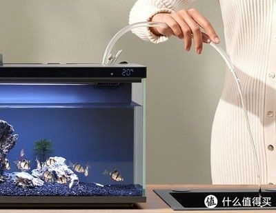 如何遠(yuǎn)程控制愛唯希魚缸：如何使用樹莓派和攝像頭遠(yuǎn)程控制愛唯希魚缸