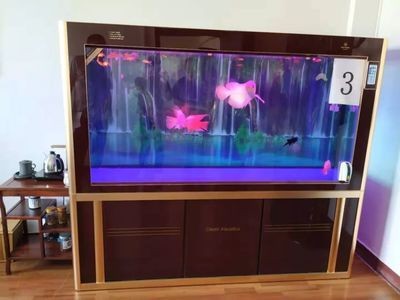 紅鸚鵡魚缸水發渾怎么處理（紅鸚鵡魚缸水發渾可能是由于多種原因造成的）
