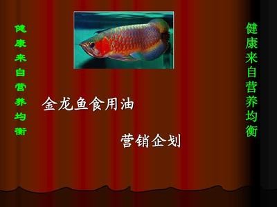 婁煩縣小艷鑫海水族門市（婁煩縣新興浴業(yè)電話）