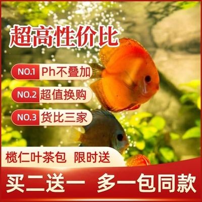 橄欖葉的化學成分解析：橄欖葉與其他水質調節劑對比分析橄欖葉的養魚策略
