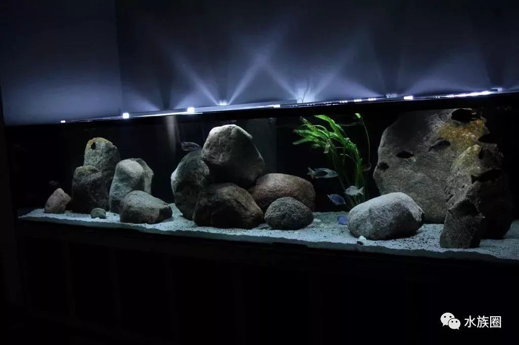 我的心愛之物 魚缸：“我的心愛之物魚缸”森森sunsun魚缸特色功能