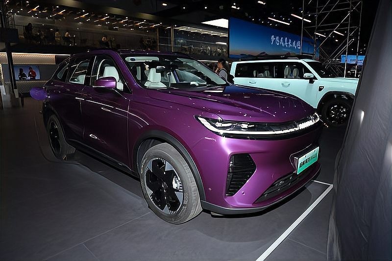 長城梟龍max2025款 2025長城杯龍魚大賽 第7張 長城梟龍max2025款 長城梟龍max2025款 2025長城杯龍魚大賽 第7張