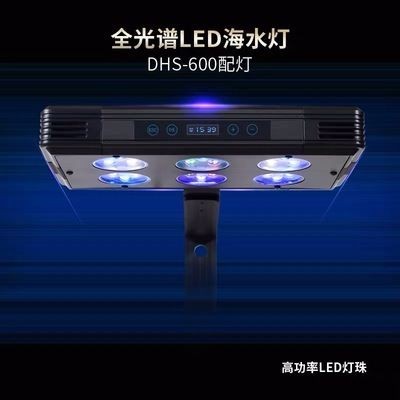 小魚缸燈飾：關(guān)于小魚缸燈飾的一些詳細(xì)信息