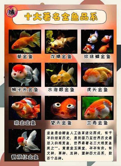 龍魚蒙眼病的區分主要依據其癥狀和治療方法和治療方法，100-250個字的摘要：龍魚蒙眼病的區分主要依據其癥狀和治療方法
