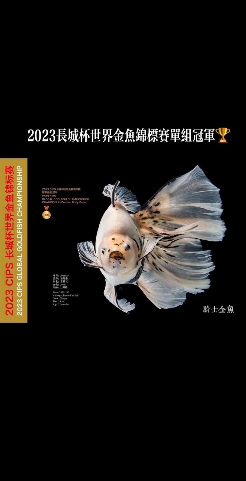長城杯世界金魚錦標賽2021
