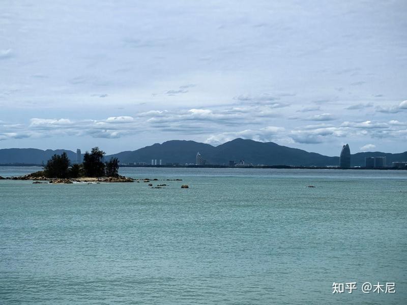 電鰻放電的原理