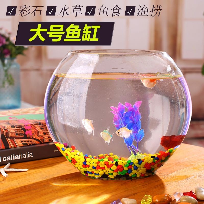 魚缸彩石圖片大全 魚缸彩石圖片大全 魚缸百科 第1張
